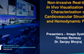 Noninvasive Real-Time In Vivo Visualization and Characterization of Cardiovascular Structures and Hemodynamic Flow (Imago Systems)
