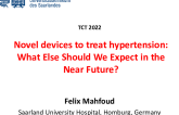 Novel Devices to Treat Hypertension: What Else Should We Expect in the Near Future?