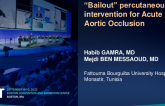 TCT 737: “Bailout” percutaneous intervention for Acute Aortic Occlusion