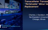 Modular Transcatheter Transseptal “ReValvable” Mitral Valve Replacement (ReValve): FIH Results