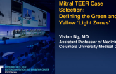 Mitral TEER Case Selection: Defining the Green and Yellow ‘Light Zones’
