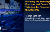 Planning the Trans-septal Puncture and Device Sizing: Tailoring the Procedure to the Anatomy  (with case examples)