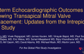 Midterm Echocardiographic Outcomes Following Transapical Mitral Valve Replacement: Updates From the Intrepid Pilot Study