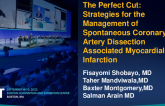 TCT 666: The Perfect Cut - Strategies for the Management of Spontaneous Coronary Artery Dissection Associated Myocardial Infarction