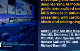 Deep Learning AI-Based Model to Guide Personalized Use of Mechanical Support Devices in Patients Presenting With Cardiogenic Shock Undergoing PCI