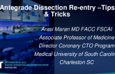 Antegrade: Tips, Tricks, and Troubleshooting in CTO PCI