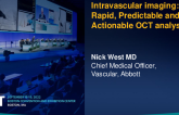Intravascular Imaging: Rapid, Predictable, and Actionable OCT Analysis
