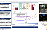 TCT 262: Screening selection according to the SYNTAX Score 2020 in the FASTTRACK CABG, - a First In Man study - assessing the feasibility and safety of sole MSCT guidance for CABG performance