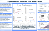 TCT 257: FFR-Guided PCI Optimization Directed by High-Definition IVUS Versus Standard of Care: 2-year Results from the FFR REACT Trial
