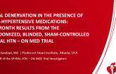 Renal Denervation in the Presence of Anti-Hypertensive Medications: Six-Month Results from the Randomized, Blinded, Sham-Controlled SPYRAL HTN – ON MED Trial