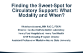 Finding the Sweet-Spot for Circulatory Support: What Modality and When?