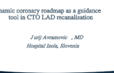Dynamic coronary roadmap as a guidance tool in CTO LAD recanalisation