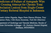 Predictors of Failure of Antegrade Wire Crossing Attempt for Chronic Total Occlusion Lesions from Single Center Tertiary Referral Hospital in Indonesia