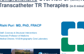 A Comprehensive Overview of New Transcatheter TR Therapies