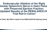 Endovascular Ablation of the Right Greater Splanchnic Nerve in Heart Failure With Preserved Ejection Fraction: Updated Results of the REBALANCE-HF Trial Roll-in Cohort