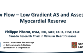 Low Flow - Low Gradient AS and Assessing Myocardial Reserve