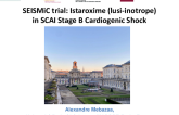 SEISMiC Trial: Isatroxime (lusi-inotrope) (HF shock)