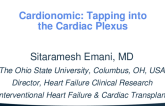 Cardionomics: Tapping Into the Cardiac Plexus