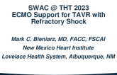 Cardiogenic Shock: ECMO Supported TAVR