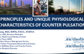 Principles and unique physiological effects characteristic of counterpulsation