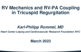 RV Mechanics and RV-PA Coupling in TR