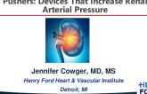 Pushers: Devices That Increase Renal Arterial Pressure