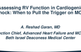 Assessing RV Function in Cardiogenic Shock: When to Pull the Trigger on MCS