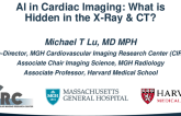 AI in Cardiac Imaging: What is Hidden in the Cardiac CT?