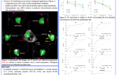 Clinical and functional relevance of right ventricular contraction patterns in pulmonary hypertension