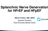 Splanchnic Nerve Denervation for HFrEF and HFpEF
