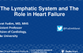 The Lymphatic System and The Role in Heart Failure