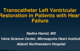 Transcatheter Left Ventricular Restoration in Patients With Heart Failure