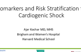 Biomarkers and Risk Stratification for Cardiogenic Shock
