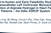 First-in-Human and Early Feasibility Study of Transcatheter Left Ventricular Myocardial Injection of Alginate Hydrogel in Heart Failure Patients – the Deke XDROP System