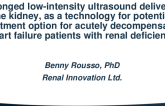 Prolonged Low-intensity Ultrasound Delivery to the Kidney, As a Technology For Potential Treatment Option For Acutely Decompensated Heart Failure Patients With Renal Deficiency
