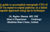 Single Guide to Accomplish Retrograde CTO of LAD via Septal to Septal Pathway in a Failed Antegrade Approach Using tip in Technique