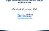 Vagal Nerve Stimulation (ANTHEM)