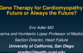 Applications of Gene Therapy in Cardiomyopathies (TBD)