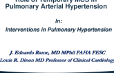 Role of Temporary MCS in Pulmonary Arterial Hypertension