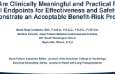 What Are Clinically Meaningful and Practical Pivotal Trial Endpoints for Effectiveness and Safety to Demonstrate an Acceptable Benefit-Risk Profile?