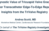 Prognostic Value of Tricuspid Valve Gradient After Transcatheter Edge-To-Edge Repair: Insights from the TriValve Registry