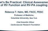 Let's Be Practical: Clinical Assessment of RV Function and RV-PA Coupling