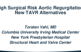 High Surgical Risk Aortic Regurgitation: New TAVR Alternatives