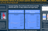 14-day End-Organ Safety and Hemocompatibility with theCorInnova Direct Cardiac Compression Device in an Ovine Chronic HeartFailure Model