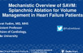 Mechanistic Overview of SAVM: Splanchnic Ablation for Volume Management in Heart Failure Patients