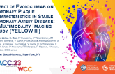 Effect of Evolocumab on Coronary Plaque Characteristics in Stable Coronary Artery Disease: a Multimodality Imaging Study (YELLOW III)