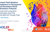 Pulsed Field Ablation Treatment in Paroxysmal and Persistent Atrial Fibrillation Patients: Acute and Long-term Outcomes from the PULSED AF Pivotal Trial