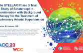 The STELLAR Phase 3 Trial:  A Study of Sotaterceptin Combination with Background Therapy for the Treatment of Pulmonary Arterial Hypertension