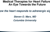 Emerging Medical Pathways for Heart Failure Therapies