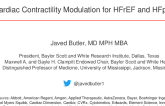 Cardiac Contractility Modulation for HFrEF and HFpEF:  Impulse Dynamics